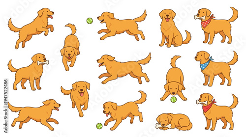 Golden retriever dog vector set