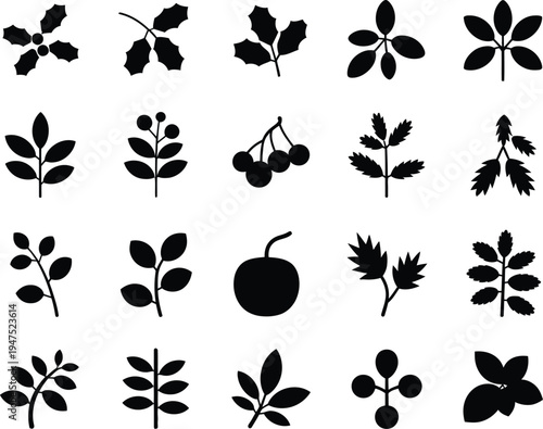 Set of 20 black leaf and fruit icons vector