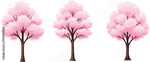 Vector illustration set of pink cherry blossom trees and blooming sakura isolated on white background for Japanese spring landscape design and floral nature graphics.