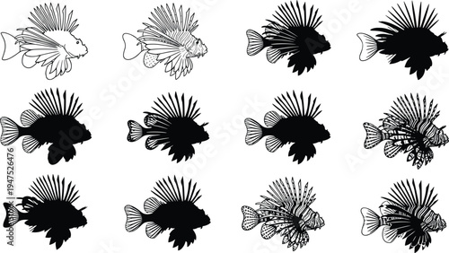 "Step-by-step artistic transformation of lionfish illustration from simple outline to fully detailed colorful marine artwork, educational progression sequence for biology and art design"