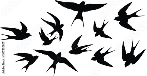  Minimalist Flying Swallow Bird Silhouette Flock Isolated on White Background - 2026 Vector Illustration 