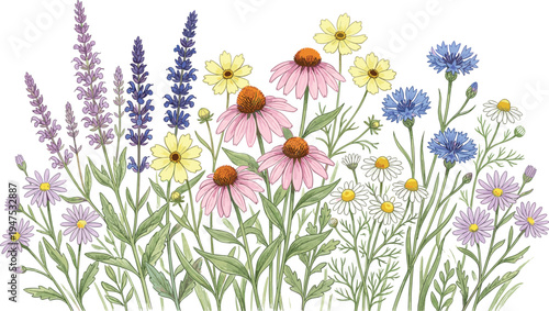 A delightful and vibrant watercolor illustration showcasing a beautiful assortment of blooming wild flowers, perfect for capturing the essence of summer meadows and natural beauty