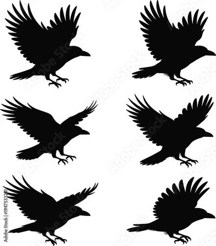 Bird flight silhouettes, crow raven, flying motion, wings spread, avian posture, wildlife illustration, nature concept, dynamic movement, artistic design, black silhouette