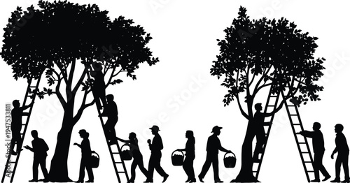 Fruit harvesting silhouette, people picking fruit, teamwork agriculture vector, orchard workers illustration, seasonal farming design, communal harvest scene graphic