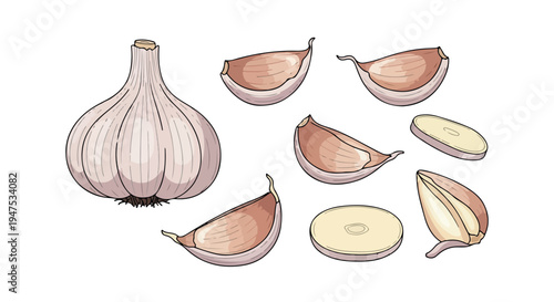 Illustration of a whole garlic bulb and several sliced cloves on a white background in a flat lay composition with earthy tones.