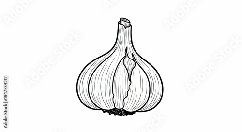 Detailed black and white line drawing of a halved garlic bulb on a plain white background.