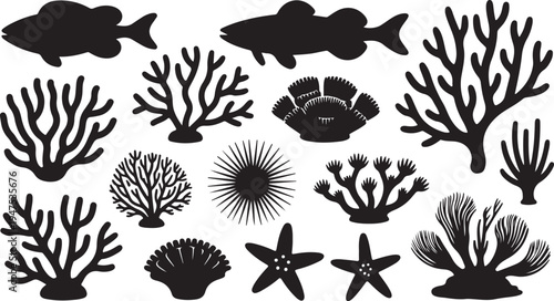 Collection of diverse marine life and coral reef silhouettes for underwater themes