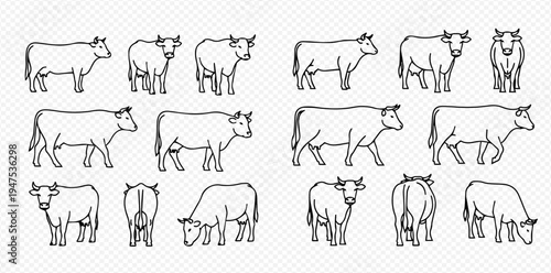 Set of various cow and bull line art icons in different poses and views on a transparent background.