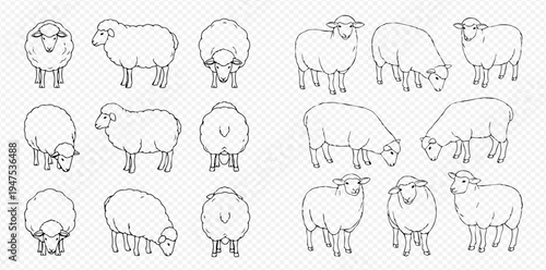 Set of sheep outlines in various poses, including standing, grazing, and viewed from different angles.