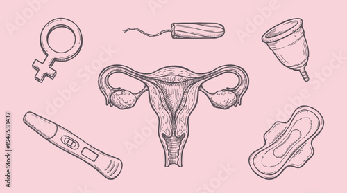 Hand Drawn Female Reproductive Health Illustration Set with Uterus, Ovaries, Menstrual Cup, Tampon, Sanitary Pad, and Pregnancy Test on Pink Background