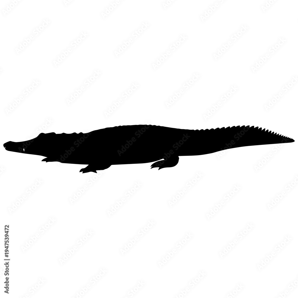 Fototapeta premium Realistic crocodile silhouette on dark gradient background minimalist logo design