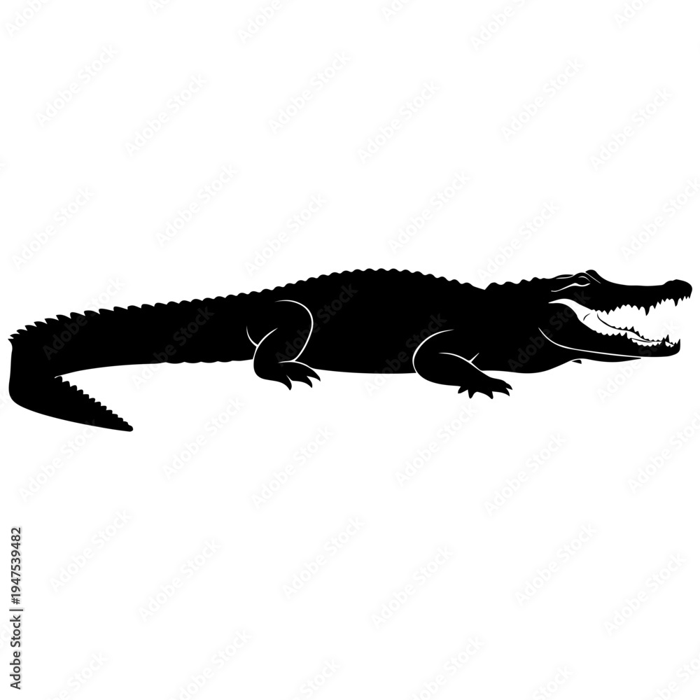 Fototapeta premium Realistic alligator silhouette black and white vector illustration isolated on transparent background