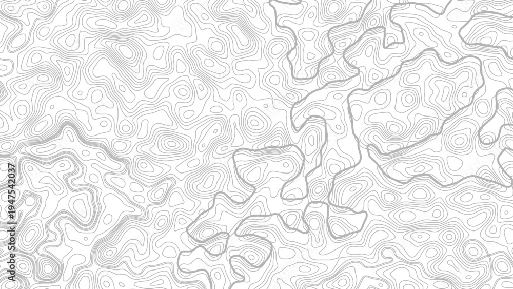 Obraz premium Topography background. Vector banner. Topographic map abstract height lines on white background ,vector
