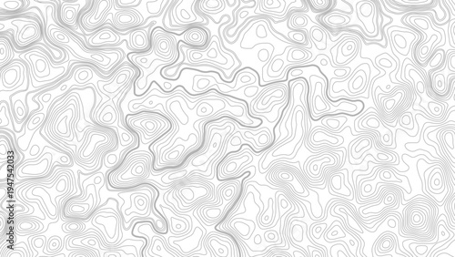 abstract height lines on white background ,vector Topographic map background. geographic line map with elevation assignments. 
