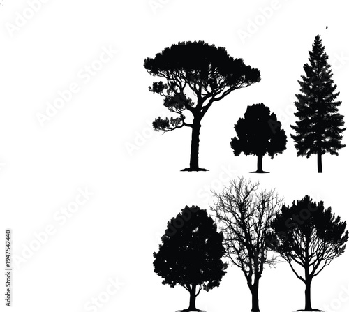 Collection of Tree Silhouettes Including Pine Oak and Leafless Trees Isolated on White Background Natural Forest Elements Black Vector Illustration Set