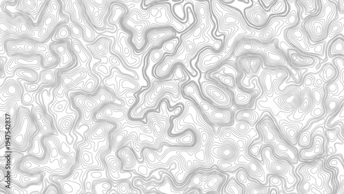 Topography background. Vector banner. Topography map background. Topographic map background. geographic line map with elevation assignments. 