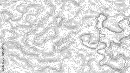 Topography background. Vector banner. Topography map background. Vector geographic contour map. Background of the topographic map.