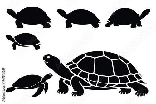 Black silhouettes of turtles in various poses and sizes