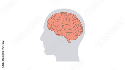 Minimalist Human Brain Illustration in Head Profile Silhouette, Mental Health and Neuroscience Concept Isolated on White