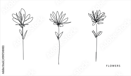 Hand Drawn Rose Flower Sketch Vector Set