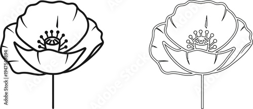 Black and white poppy flowers line art Vector