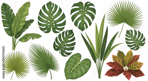 Exotic Tropical Leaves Collection for Botanical Design and Nature-Inspired Art
