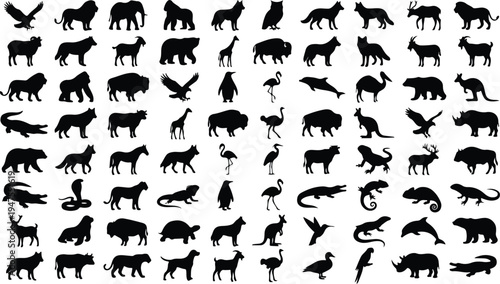 A diverse collection of various animal silhouettes in black on a white background, featuring mammals, birds, and reptiles.