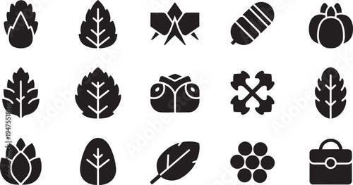 Black icons of leaves, fruits, and objects on white background, various silhouettes, graphic symbols, design elements, icons set