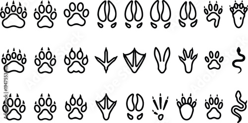 Various animal footprints and paw prints in a vector graphic illustration