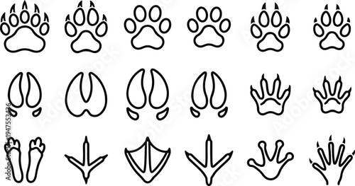 Various animal paw prints and footprints in a vector graphic illustration for identification and educational purposes