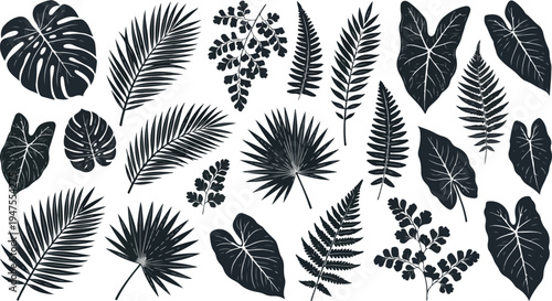 A collection of various tropical leaves in black and white vector illustration design