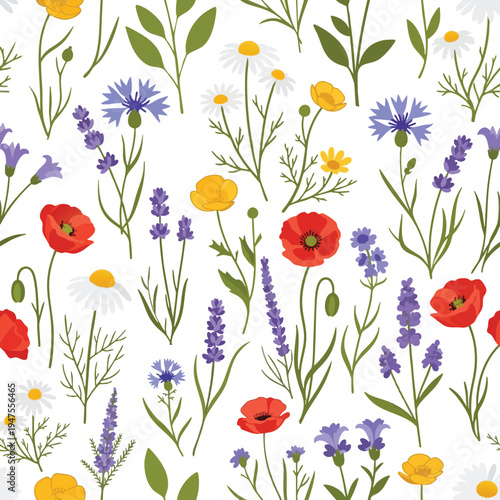 Seamless pattern of red poppies, lavender, daisies, cornflowers, and yellow buttercups