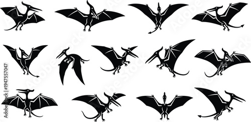 Pterodactyl Dinosaur Silhouette Set, Flying Prehistoric Reptile Pterosaur Collection, Jurassic Flying Dinosaur Black Vector Illustration Pack for Paleontology Design