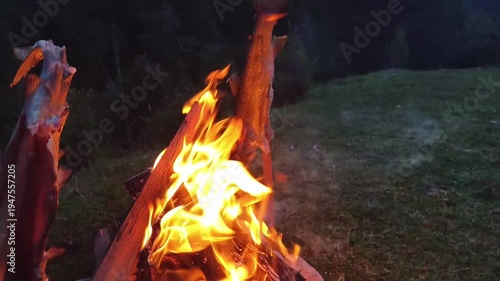 Patagonia National Park in Chile