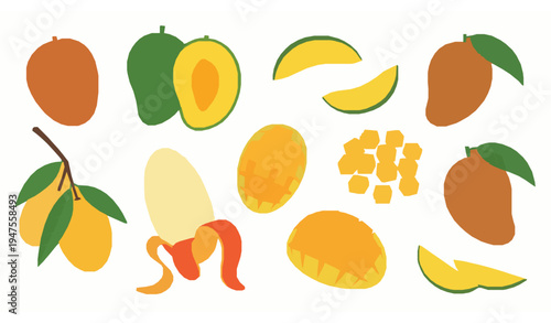 Fresh mango fruit vector illustration set with whole half sliced tropical mango isolated on white