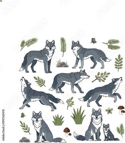 Grey Wolf Cartoon Character Set Wild Forest Animal Collection with Standing Running Howling Sitting and Family Wolves Vector Illustration