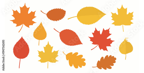 Collection of autumn leaves flat vector illustration isolated design elements