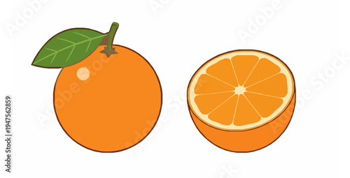Fresh orange fruit whole and half slice with green leaf isolated vector illustration