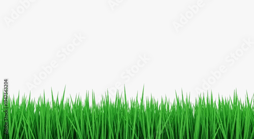 Lush Green Grass Border Isolated on White Background, Minimalist Nature Concept with Copyspace for Design
