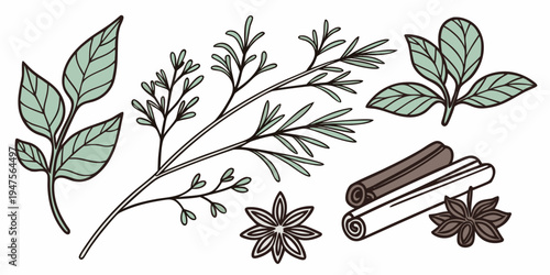 A beautiful illustration of a cinnamon stick surrounded by leaves and berries