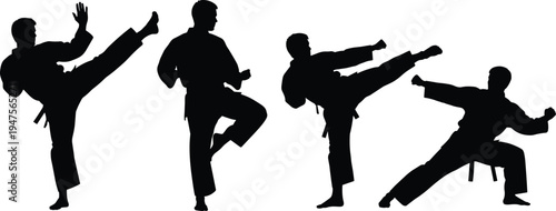 Karate martial artist silhouettes performing high kick and fighting stances, martial arts training, self defense sport action poses isolated vector