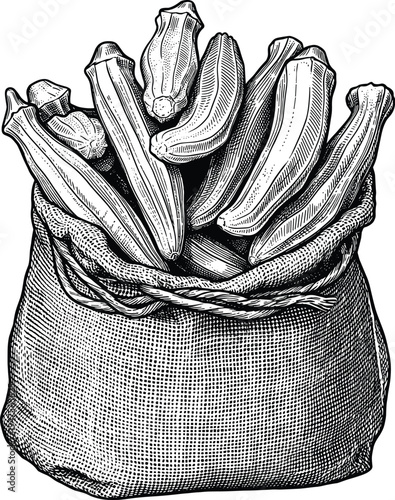 Sack of okra in vintage style illustration