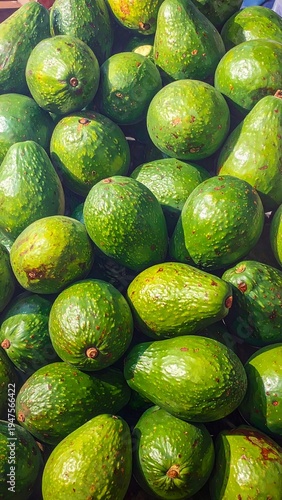 A vibrant pile of green avocados stacked together