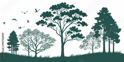 A serene forest scene with tall trees and a clear sky in the background.