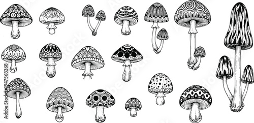 Hand drawn mushroom collection with decorative patterns, vintage botanical fungi illustration set, detailed toadstool line art isolated for nature design