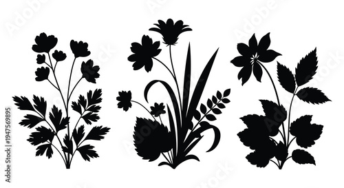 A striking arrangement of floral and foliage silhouettes against a clean white background silhouette high quality