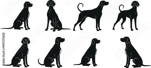 Dog silhouette set in different poses, domestic pet canine collection isolated on white background, animal illustration vector design for pet lovers