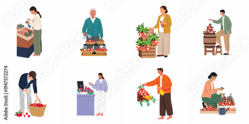 Set of flat illustrations featuring people spraying and caring for fresh lychee fruit in different market, farm, and retail scenarios.