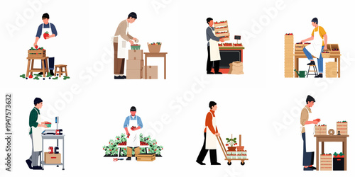 Collection of flat illustrations depicting men harvesting, packing, weighing, and selling fresh strawberries in various agricultural and market scenarios.