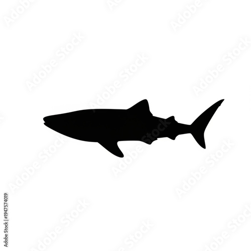Black Silhouette of a Shark.